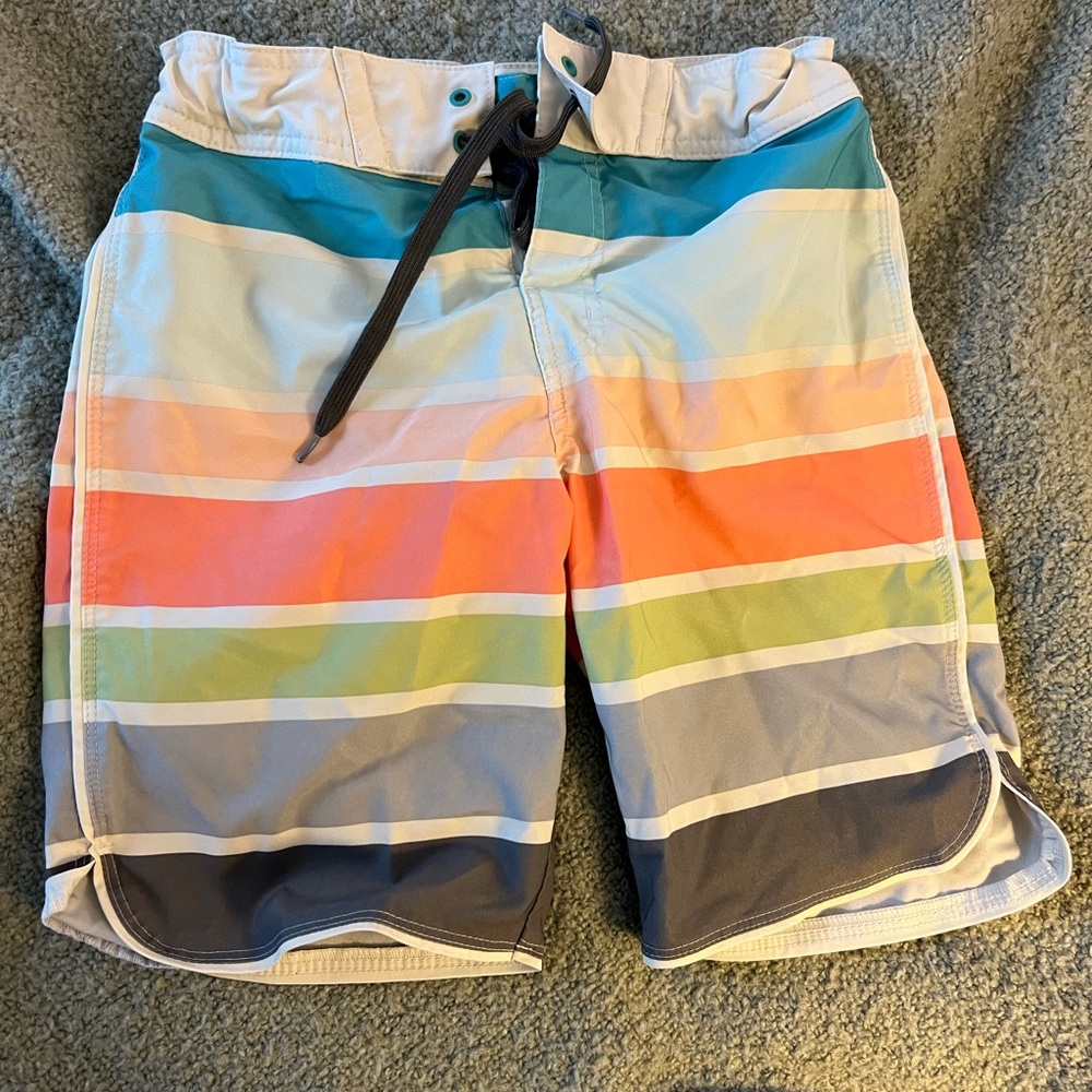 Striped Multicolor Swim Shorts
